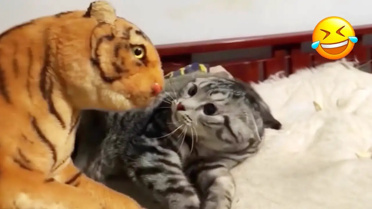 Brighten Your Day with These Hilariously Cute Animals! ๐พ๐ฑ